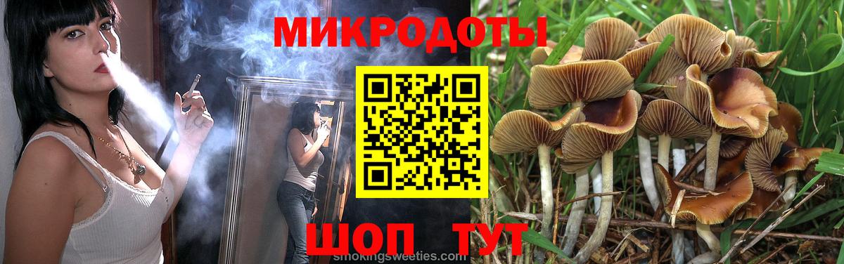 Псилоцибиновые грибы Psilocybe Чайковский