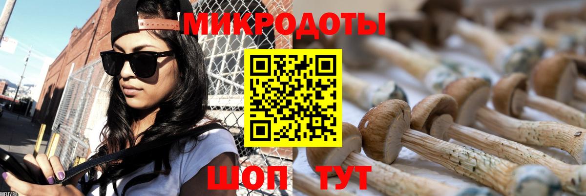 Псилоцибиновые грибы Psilocybe  Вход с VPN  Чайковский 